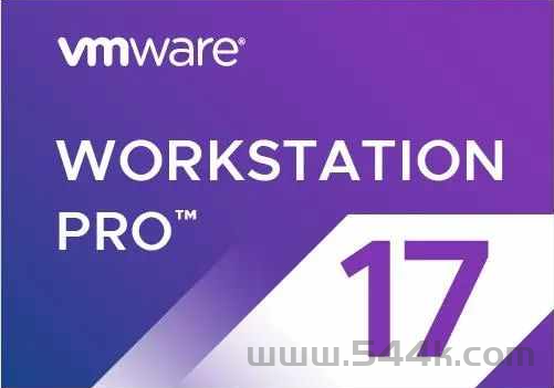 VMware 17.0.2 去虚拟化 Win10 Pro22H2 x64，【过鲁大师，过强壳】